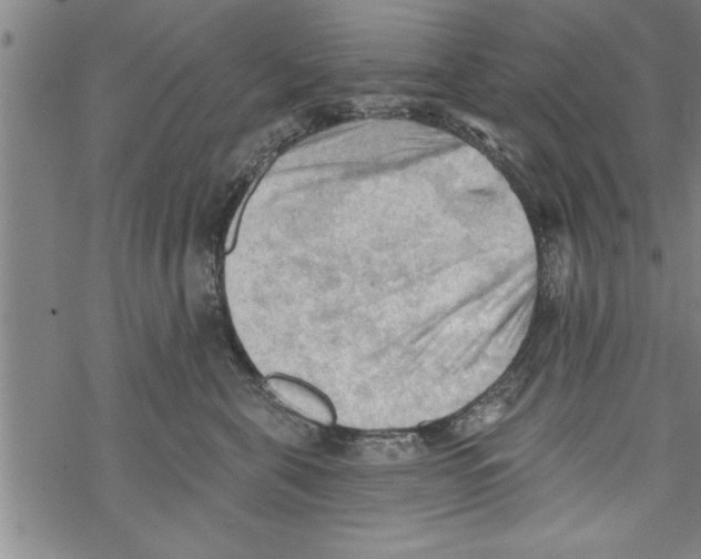 X0000067510571200605051832