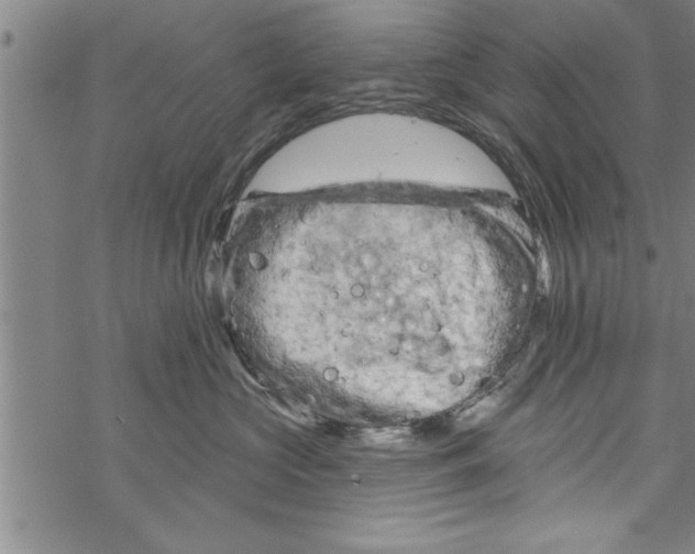 X0000067510573200605051832