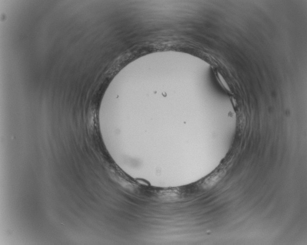 X0000067510574200605051832