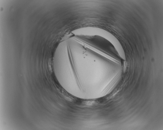 X0000067510575200605051832