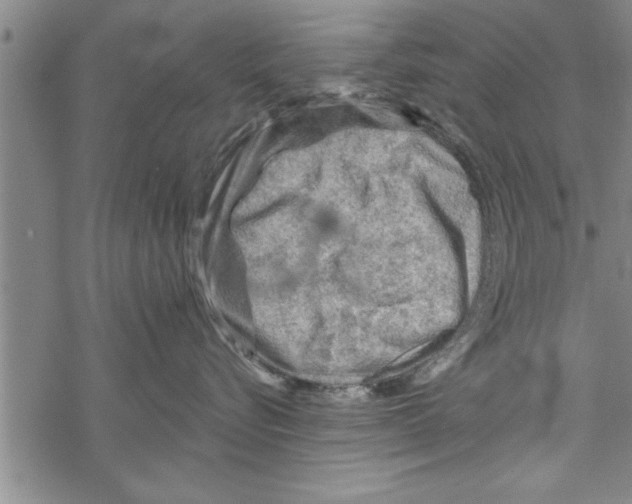 X0000067510576200605051832