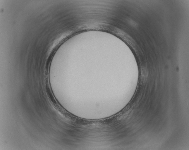 X0000067510578200605051831