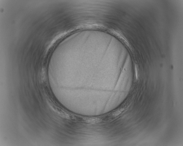 X0000067510579200605051831