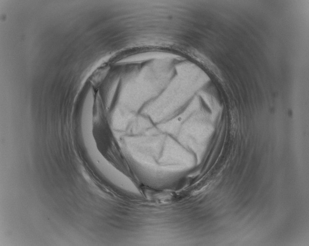 X0000067510580200605051831