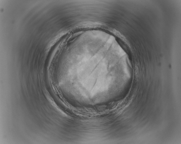 X0000067510581200605051831