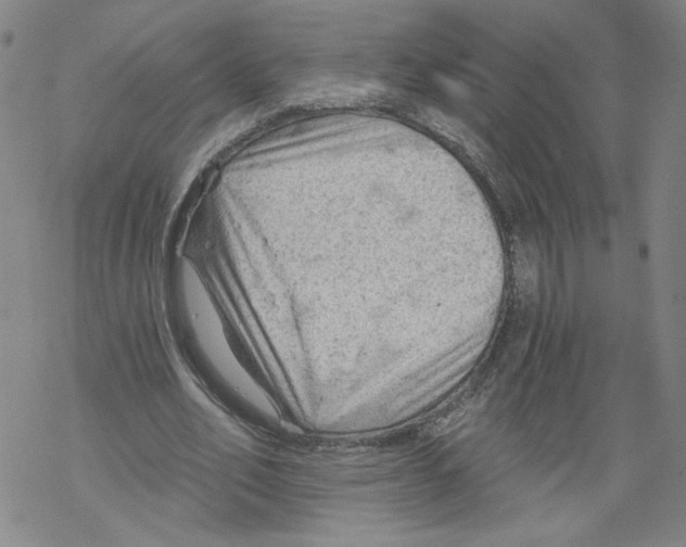 X0000067510582200605051831