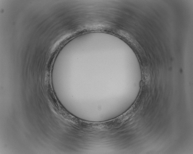 X0000067510583200605051831