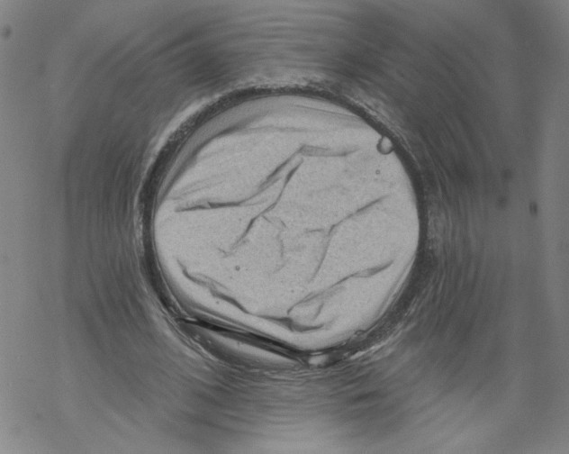 X0000067510584200605051831