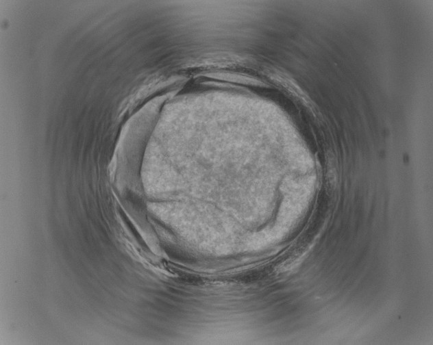 X0000067510585200605051831