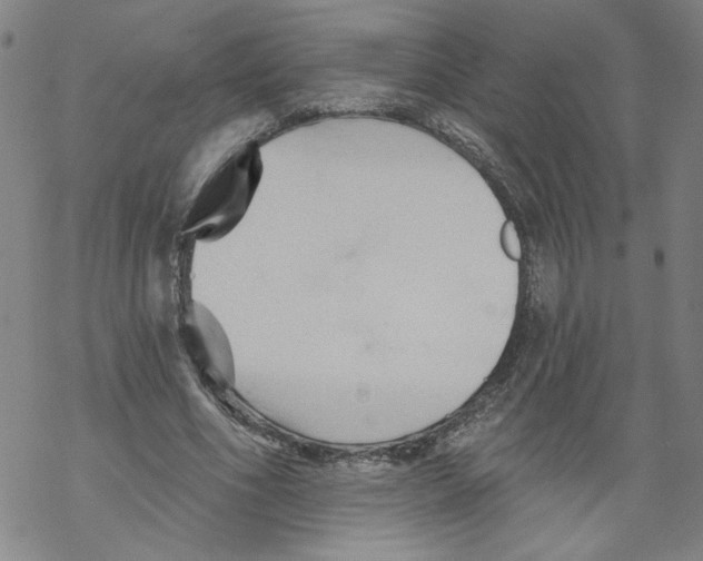 X0000067510586200605051831