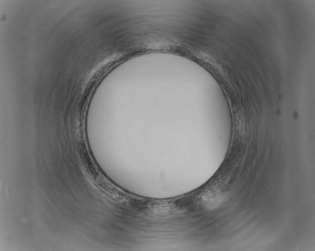 X0000067510587200605051831