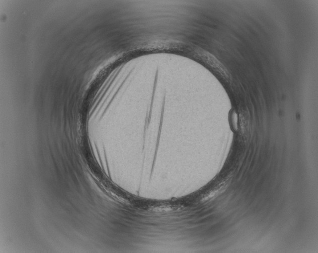 X0000067510588200605051831