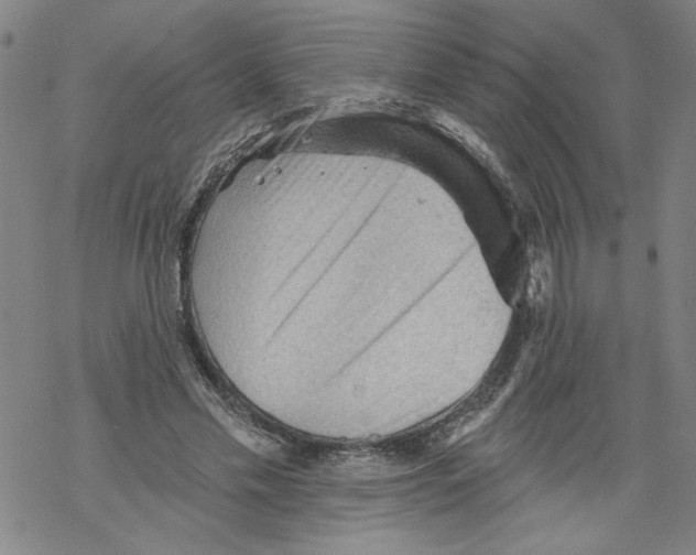 X0000067510589200605051831