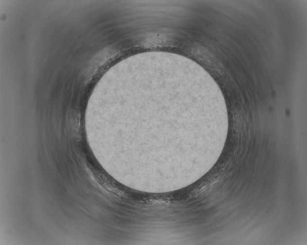 X0000067510592200605051831