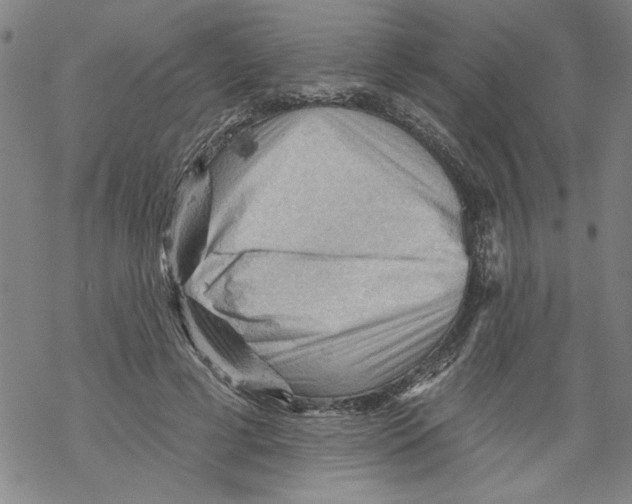 X0000067510593200605051831