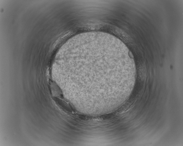 X0000067510594200605051831