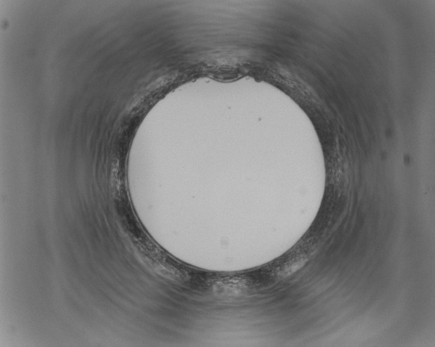 X0000067510599200605051831