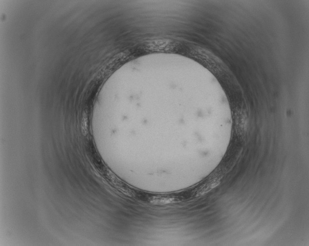 X0000067510602200605051831