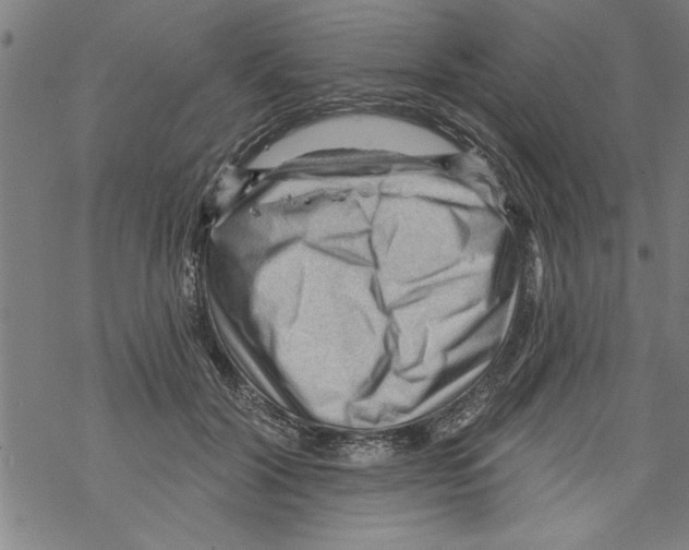 X0000067510604200605051831