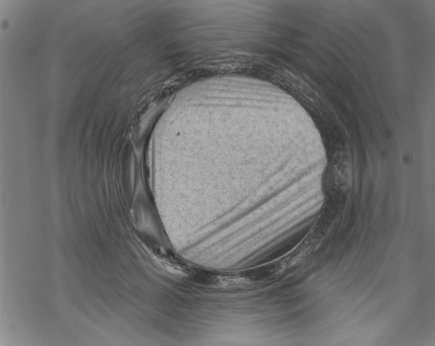 X0000067510605200605051831