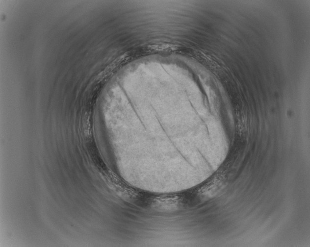 X0000067510606200605051831