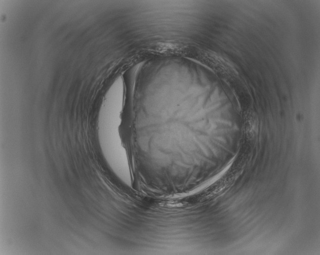 X0000067510607200605051831