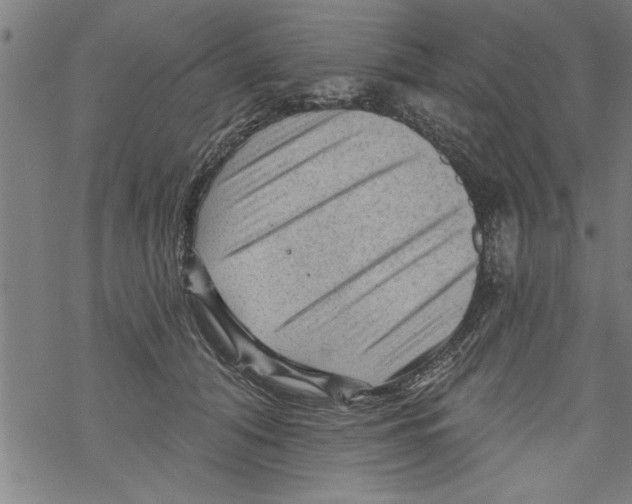 X0000067510608200605051831