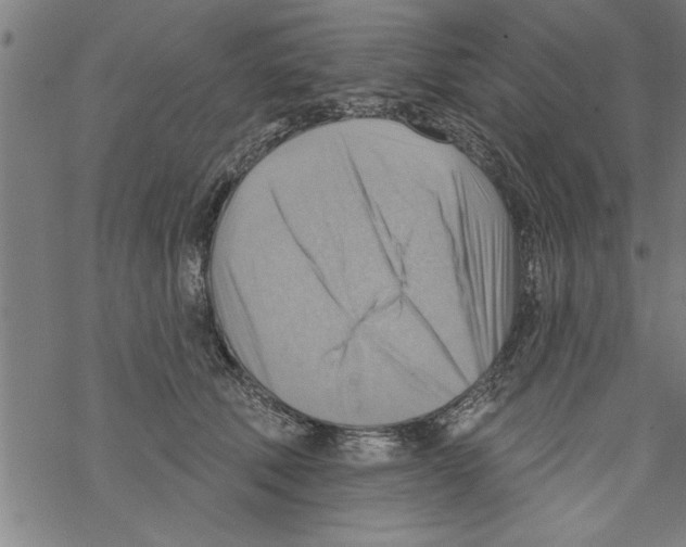 X0000067510610200605051831