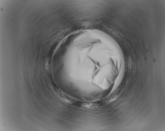 X0000067510611200605051831