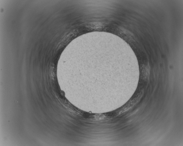 X0000067510612200605051831