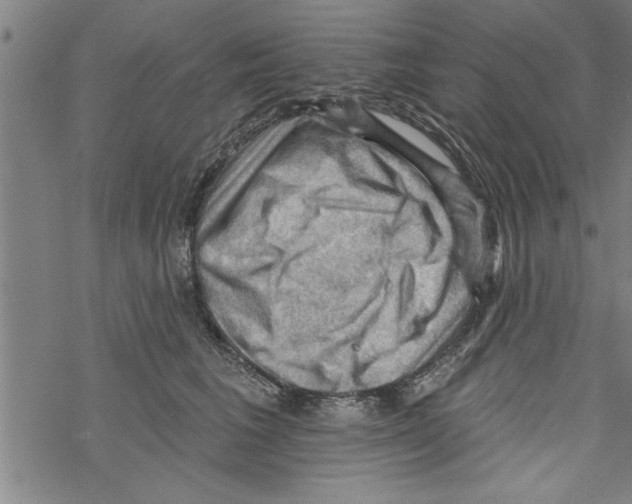 X0000067510613200605051831