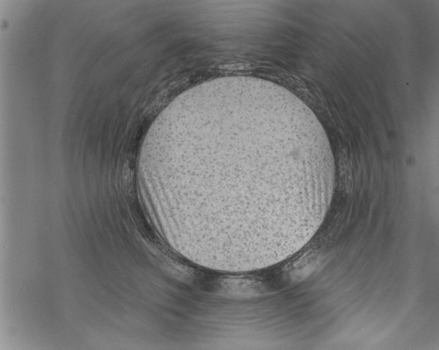 X0000067510614200605051831