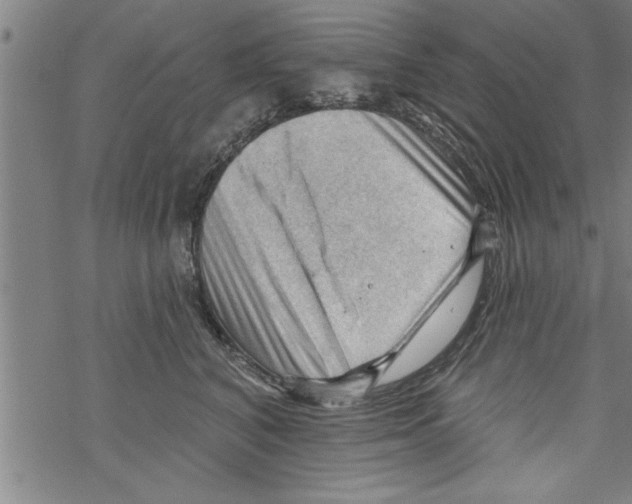 X0000067510616200605051831