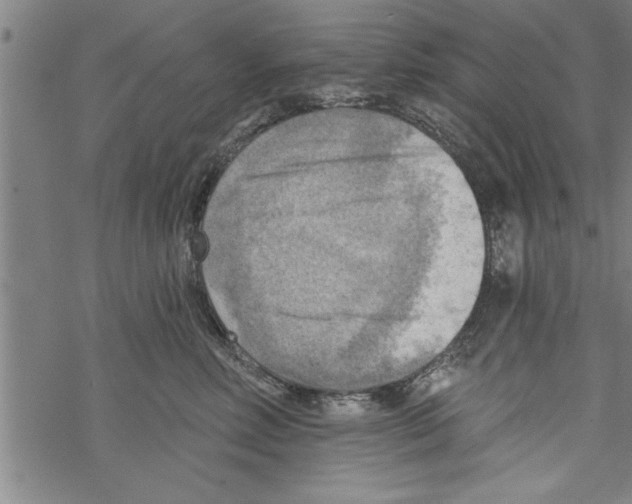 X0000067510618200605051831