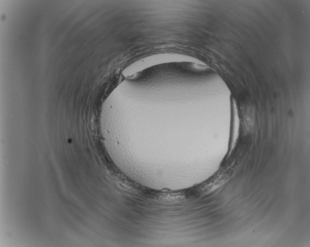 X0000067510619200605051831