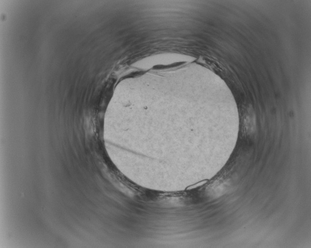 X0000067510620200605051831