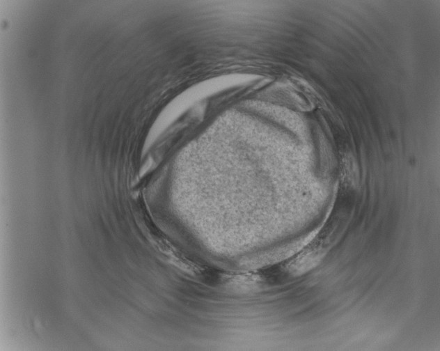 X0000067510621200605051831