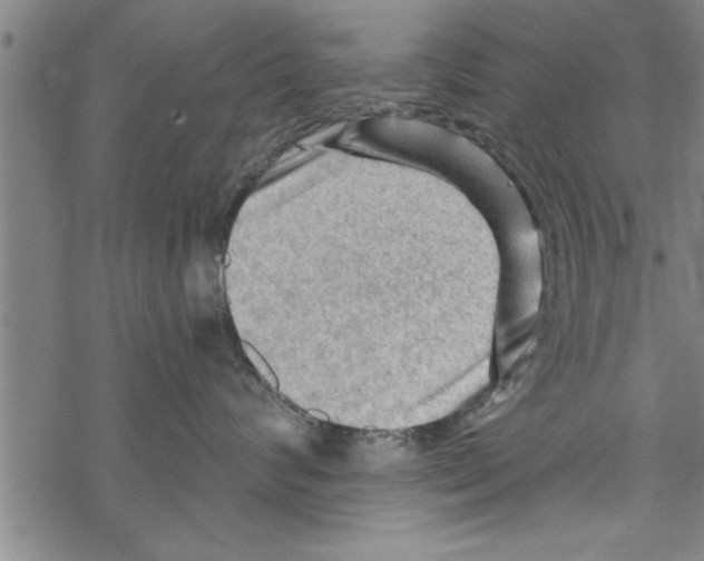 X0000067510624200605051830