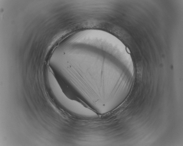 X0000067510626200605051830