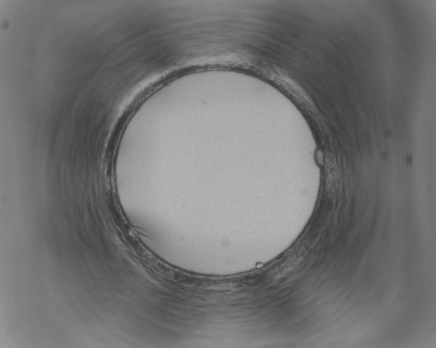 X0000067510628200605051830