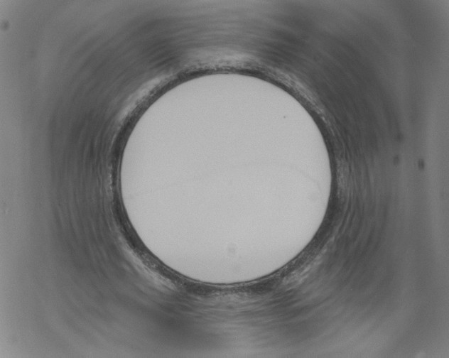 X0000067510629200605051830