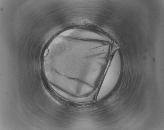 X0000067510630200605051830