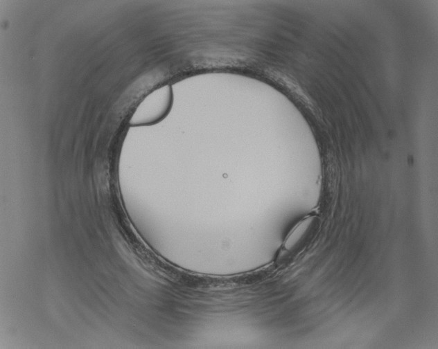 X0000067510631200605051830