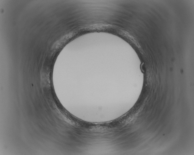 X0000067510633200605051830