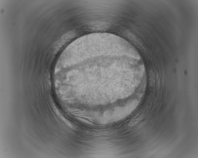 X0000067510634200605051830