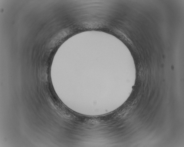 X0000067510635200605051830