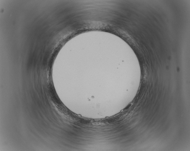 X0000067510636200605051830