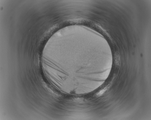 X0000067510637200605051830