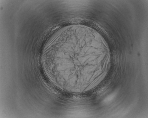 X0000067510641200605051830