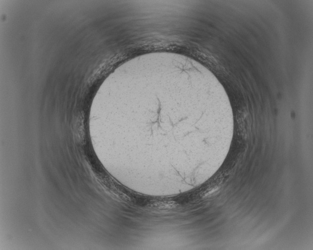 X0000067510642200605051830